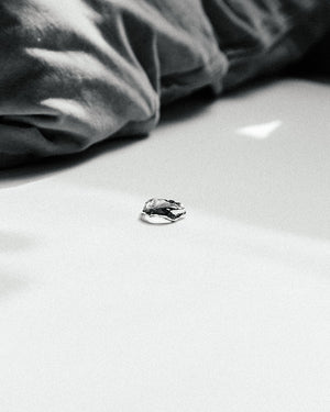 Trace Ring